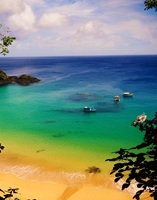 Fernando de Noronha Brazil 35